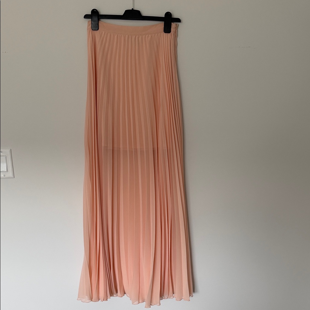 Bebe Pleated Maxi Skirt